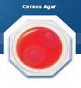 Food Stamp Cereus Agar - Bacillus cereus