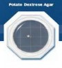 Food Stamp Potato Dextrose Agar cu cloramfenicol - ciuperci