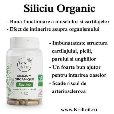 Silicium Organic 120 Capsule (150 mg/2 capsule)