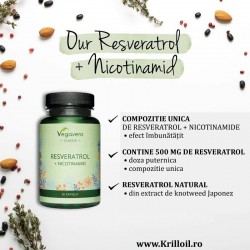 Trans-Resveratrol Extract Concentrat 500mg + Nicotinamide 60 Capsule