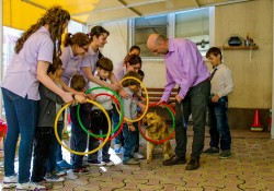 Program inedit realizat de un psiholog român: Delfinoterapie și terapie canină pentru copiii cu autism