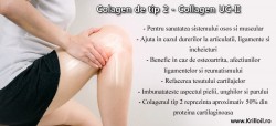 Colagen tip 2, Collagen UC-II 40 mg 30 Comprimate