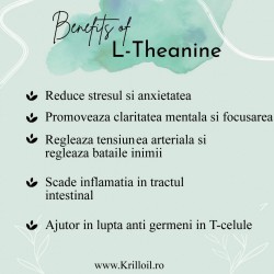 L-Theanine 200mg + Inulina 100mg 90 Capsule