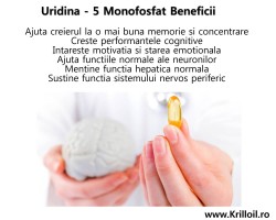 Uridina Monofosfat 250mg 60 Capsule