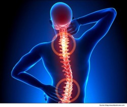 Conflictele psihologice si afectiunile coloanei vertebrale: deviatiile coloanei, hernia de disc, nervul sciatic, zona cervicala,dorsala,lombara,sacrala,coccigiana; cifoza, scolioza, lordoza. Cum poate ajuta hipnoterapia la tratarea durerilor si afectiunilor coloanei vertebrale?