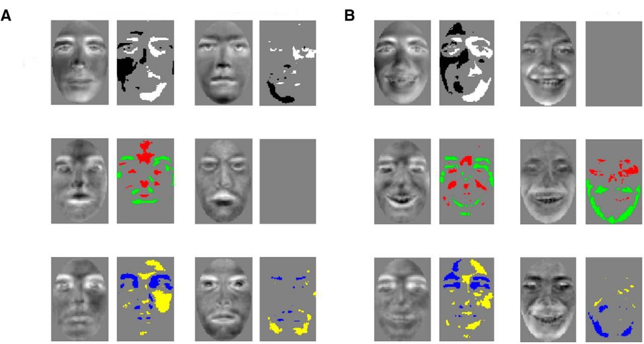 reconstructia digitala a imaginilor pe baza EEG