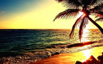 Scheme cognitive dezadaptative