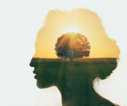 Profil concepte personale (relatii)