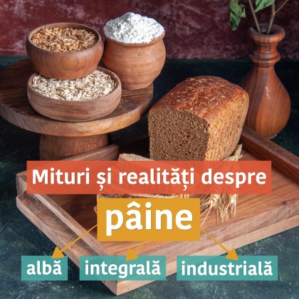 Mituri și realități despre pâine: ce arată dovezile științifice despre pâinea albă, integrală și pâinea industrială