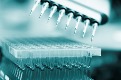 Biologii au identificat o genă care poate încetini îmbatranirea