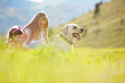 Mediul, mai important pentru sistemul imun decât ereditatea