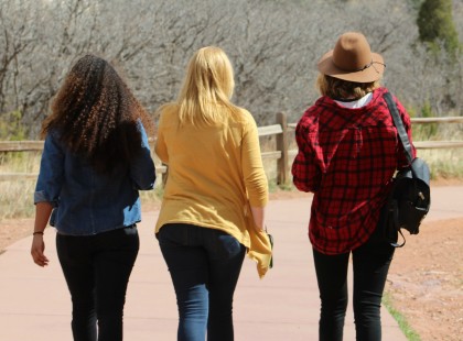 Obezitatea la adolescenți și declinul cognitiv în viața adultă