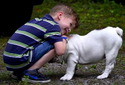 Câinii de companie ajută copiii să se simță mai puțin stresați