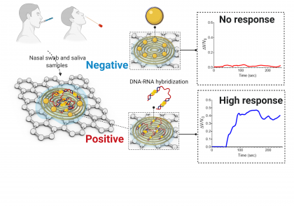 Un senzor electrochimic poate detecta COVID-19 în mai puțin de 5 minute