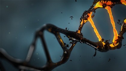 Metilarea ADN-ului și ceasul epigenetic