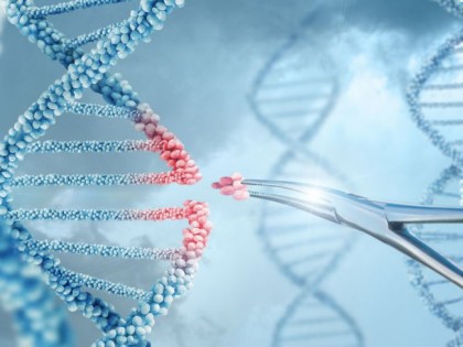 Terapia genică inovatoare „reprogramează” celulele pentru a inversa deficiențele neurologice