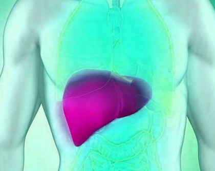 Modificarea ARN-ului ne-ar putea proteja împotriva bolilor hepatice