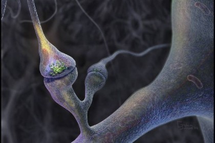 Agenți terapeutici noi, fără efecte adverse, utilizați în tratamentul afecțiunilor cognitive