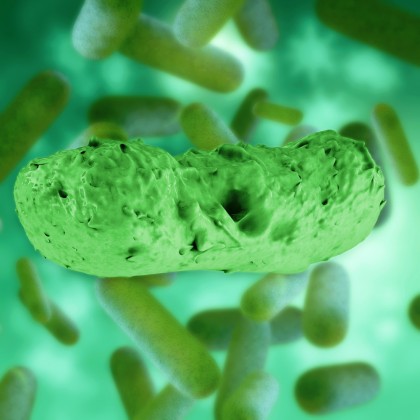 Avertisment cu privire la igiena personală, după identificarea unor bacterii periculoase în regiuni circulate de oameni