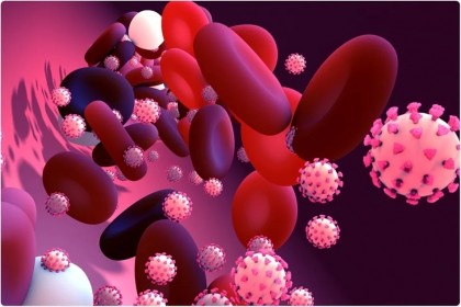 Rapamicina ar putea fi folosită în tratamentul pacienților diabetici cu COVID-19