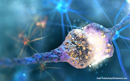 Un nou studiu arată că spray-urile antiinflamatorii nazale opresc deteriorarea memoriei în modelele experimentale ale bolii Alzheimer