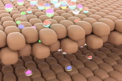 Noua terapie transdermică, utilă în vaccinarea împotriva COVID-19 și a cancerului