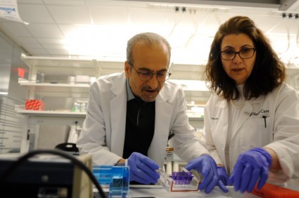 Transplantul de celule pancreatice fără administrare de imunosupresoare, un nou tratament în diabetul zaharat de tip 1