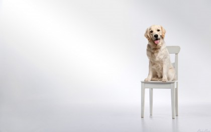 Simpla expunere la noi obiecte similare nu este suficientă pentru a putea face diferența dintre acestea