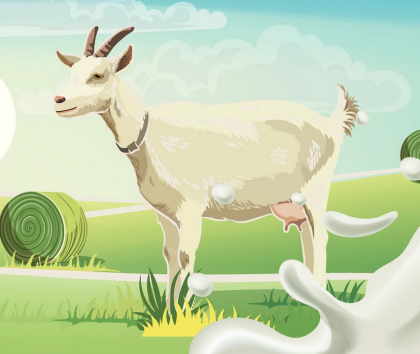 Formulele pentru sugari pe bază de lapte de capră: sigure și la fel de benefice ca și cele pe bază de lapte de vaci