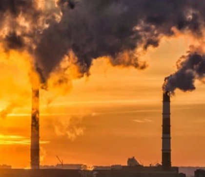 Factorii de mediu prezic riscul de deces