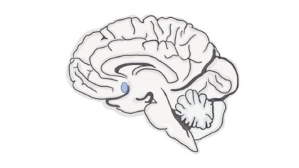 Un studiu explică de ce frecvența depresiei este mai mare la femei comparativ cu bărbații