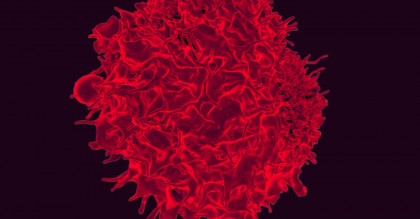 Îmbunătățirea răspunsului imun împotriva cancerului