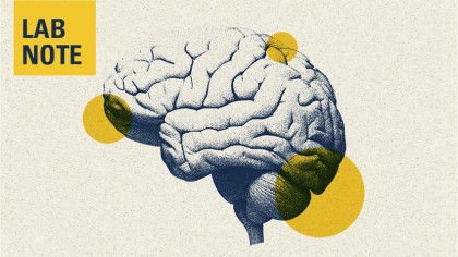 Găsirea strategiei potrivite pentru a încetini declinul cognitiv