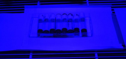 Daunele cauzate de expunerea la lumină albastră cresc odată cu înaintarea în vârsta