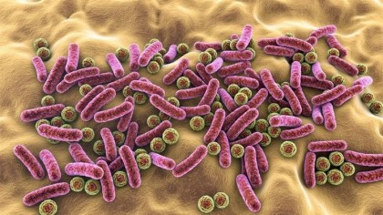 Cum influențează menopauza microbiomul intestinal?