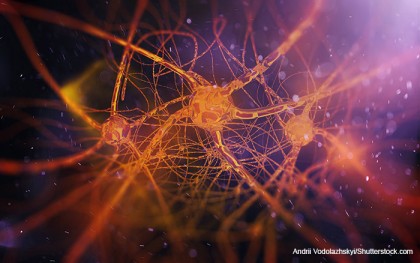 O contribuție majoră asupra bolii Alzheimer