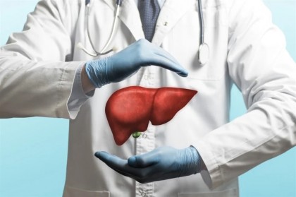 Un catabolit flavonoid al florei intestinale ameliorează steatoza hepatică la șoareci