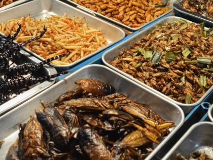 Insectele comestibile