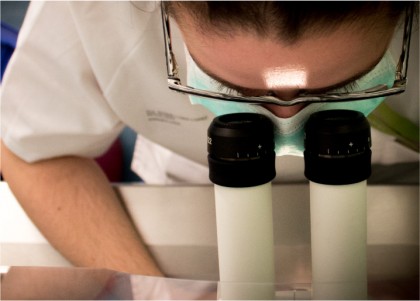 Încălzirea globală ar putea crește patogenitatea fungilor