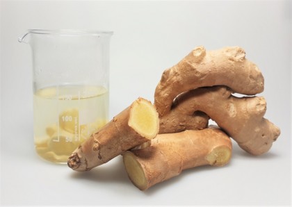 Un compus din ghimbir poate fi util în tratarea unor boli grave