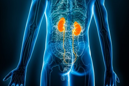 Biomarkeri ce evidențiază riscul de boală cronică de rinichi