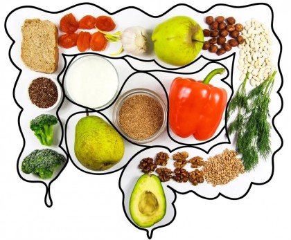 Cum ne ajută microbiomul intestinal în lupra împotriva bolilor