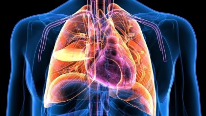 Băuturile energizante sunt periculoase pentru copii și adolescenți