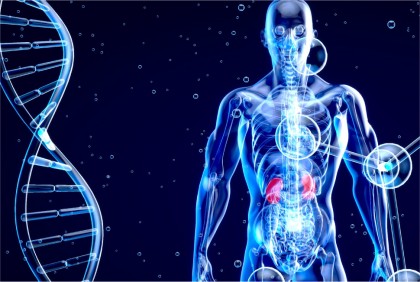 Nefropatia cu IgA, boala a cărei cauză este extrarenală