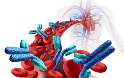 Expunerea la microbi a sugarilor contribuie la dezvoltarea sistemului imunitar