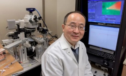 Efectele consumului cronic de cocaină sau alcool asupra flexibilității cognitive