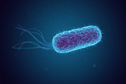 Descoperire importantă în tratamentul principalei cauze de insuficiență renală la copii