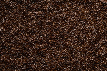 Lignanii din semințe de in ar putea influența microbiomul intestinal și riscul de cancer mamar