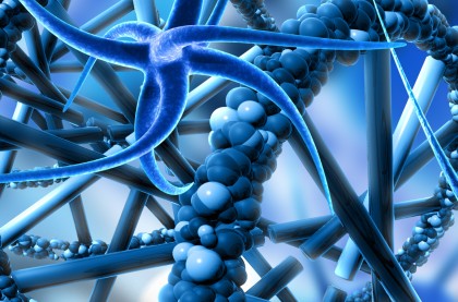 Aptamerii - substituenți potențiali pentru anticorpi