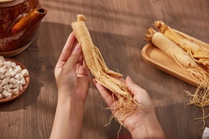 Potențialul utilizării medicale a ginsengului